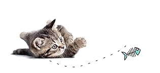 munchiecat logo