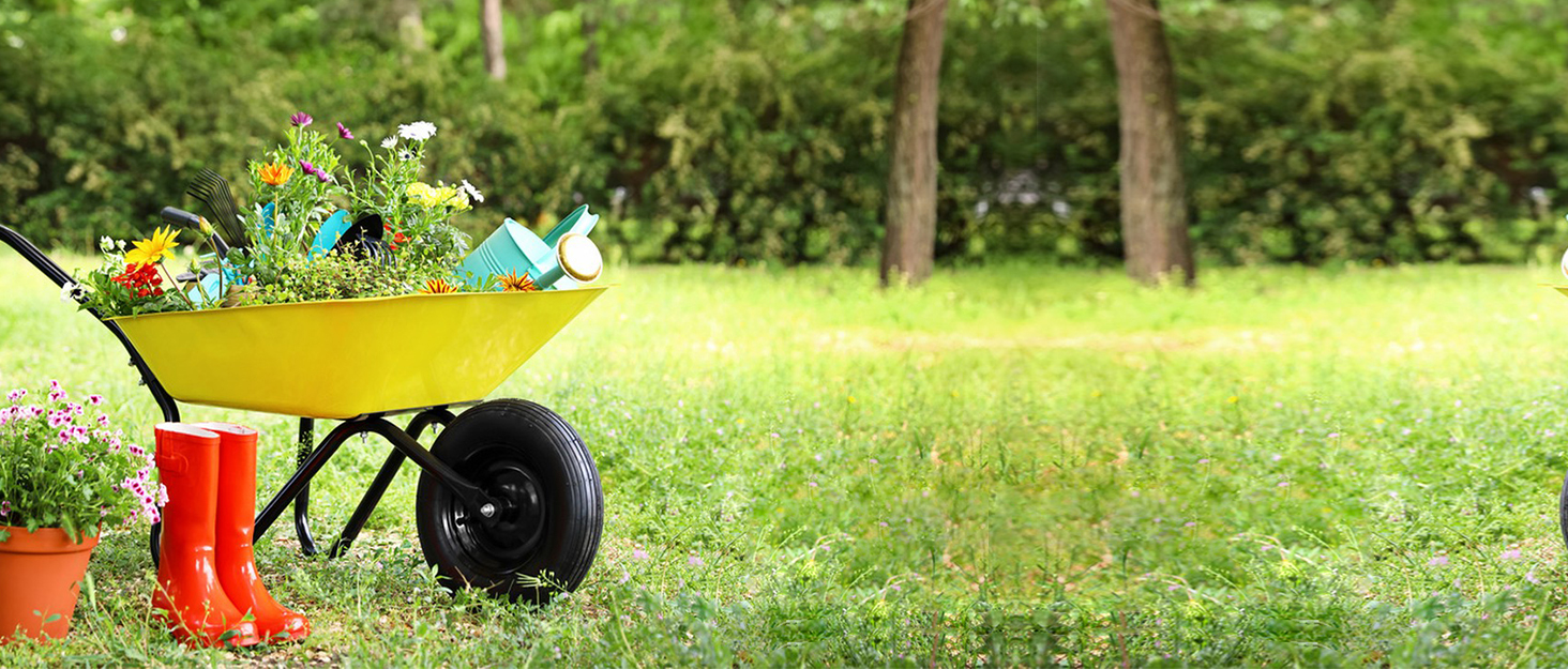 wheelbarrow tire