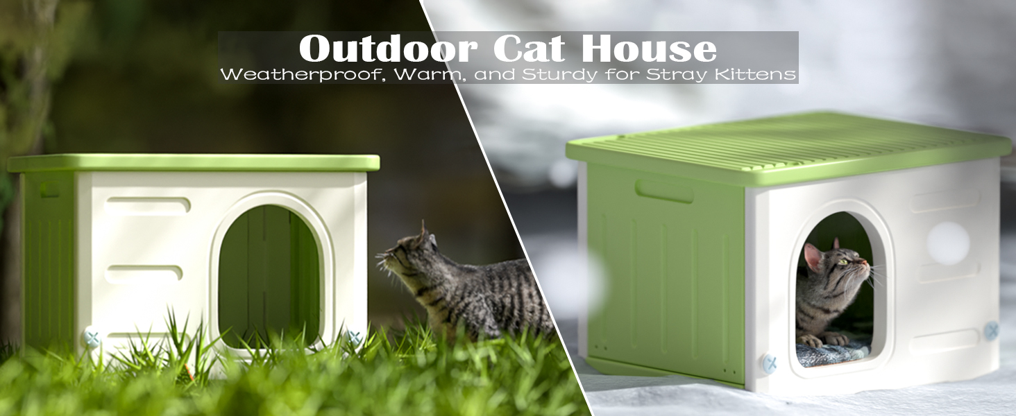 out door cat house