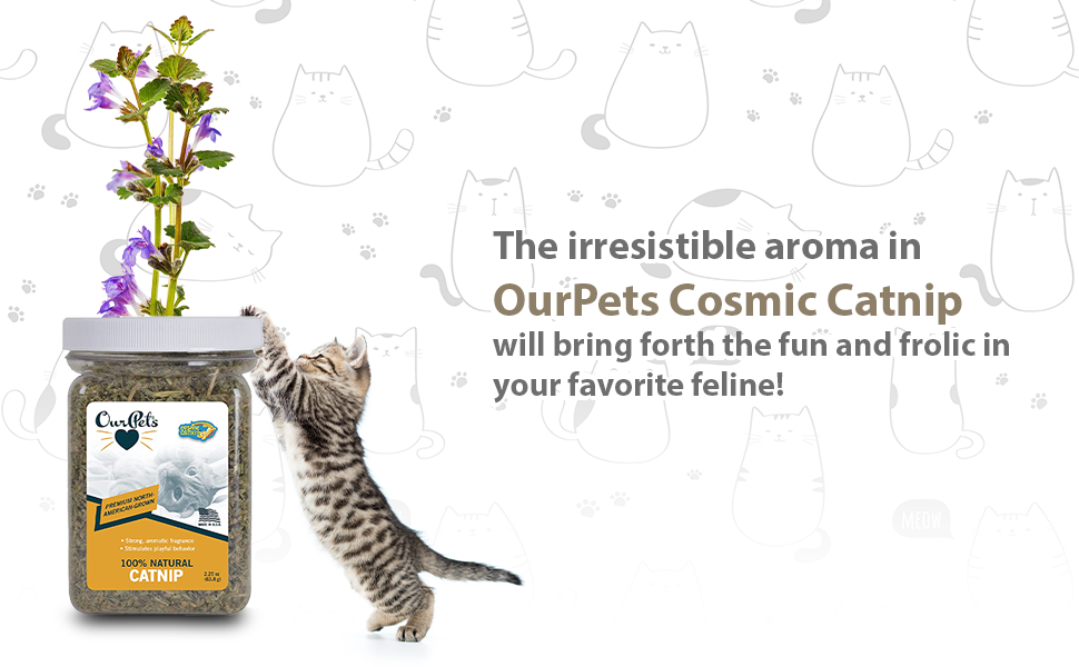 Our Pets Premium North-American Grown Catnip