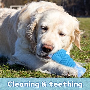pet toys for dogs