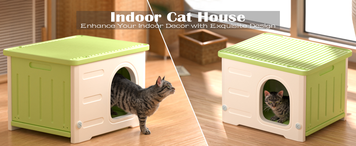 Indoor cat house