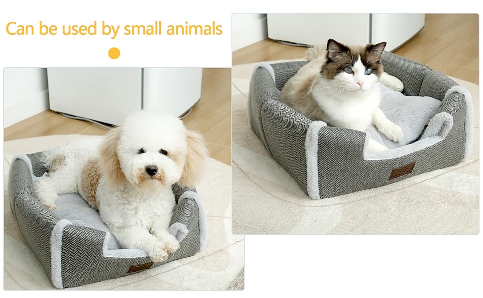 CAT BED
