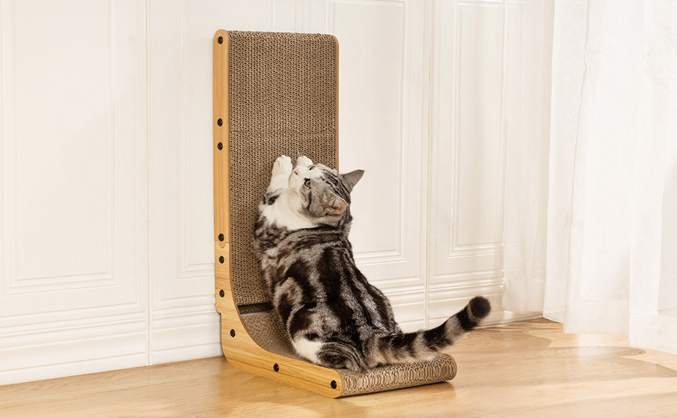 Cat Scratching Cardboard