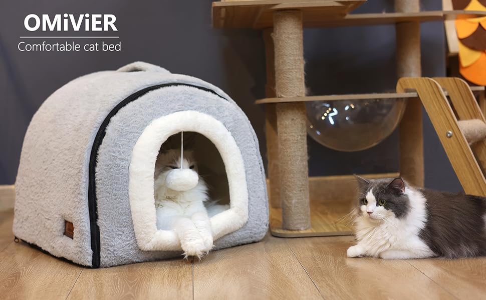 cute cat bed