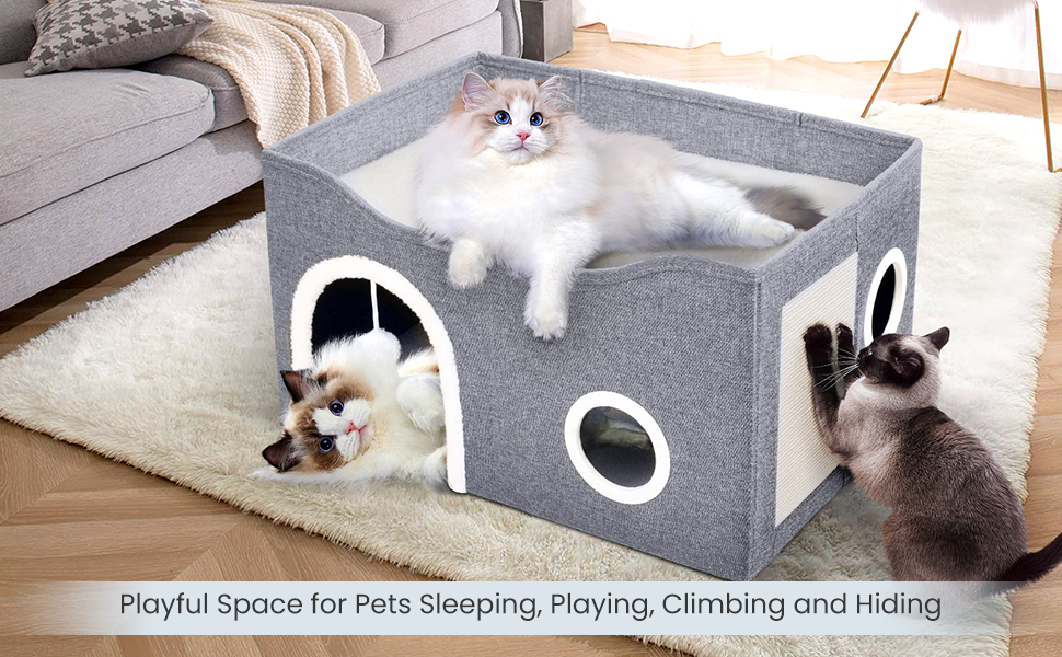 Cat House