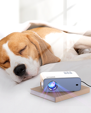 Small projector