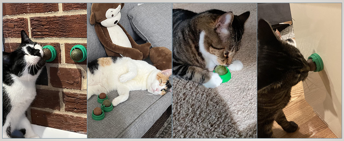 SINROBO 3pcs catnip balls