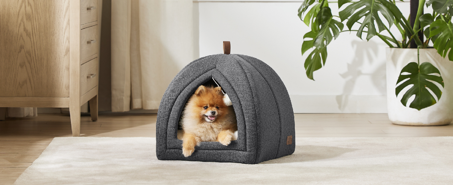 cat tent
