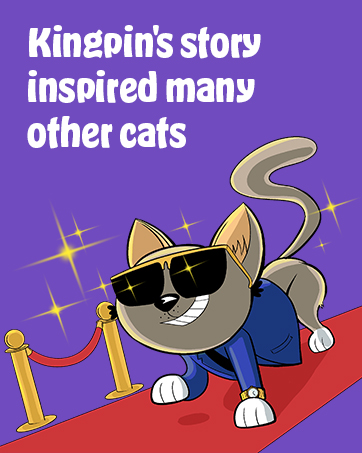 Cat Crack