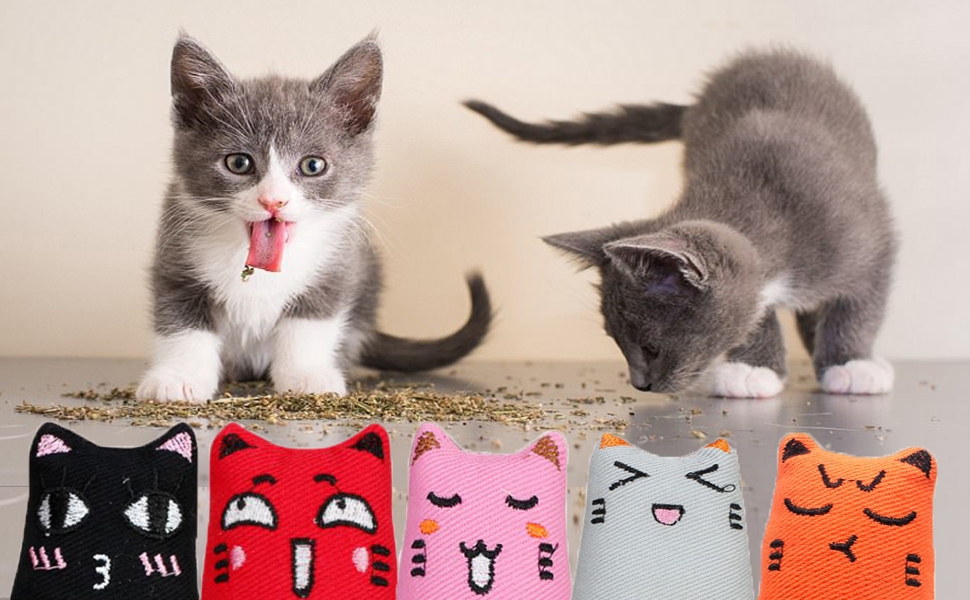 There are two cats and 5 catnip toys.