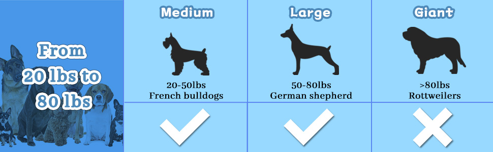 large dog toy