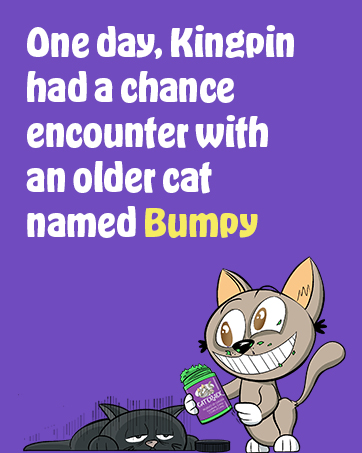 Cat Crack