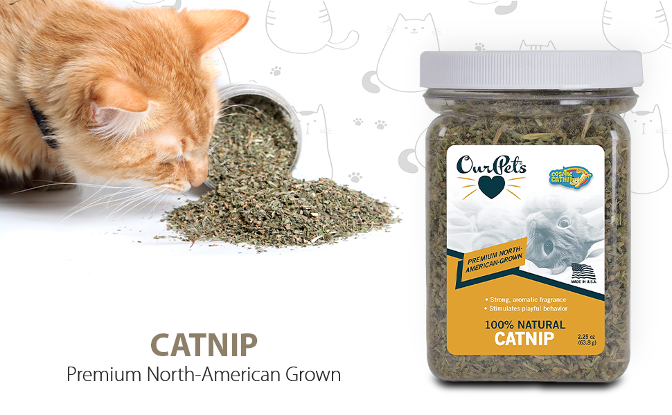 Our Pets Premium North-American Grown Catnip