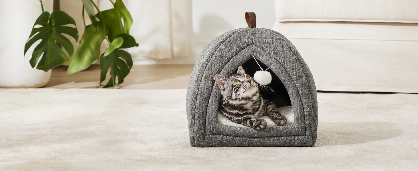 cat tent