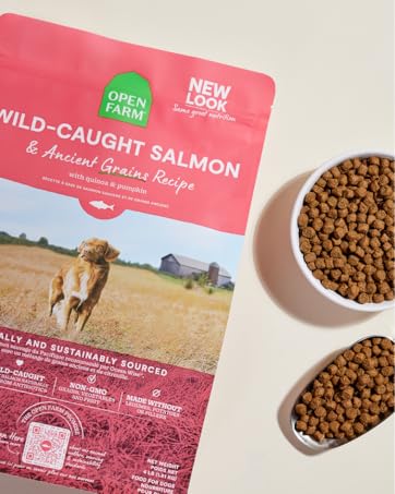 Dry Dog Ancient Grains