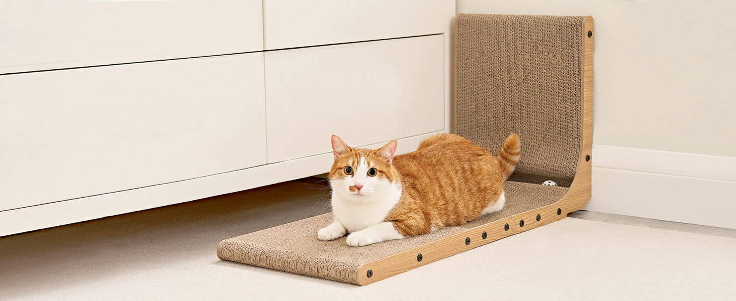 cat scratcher