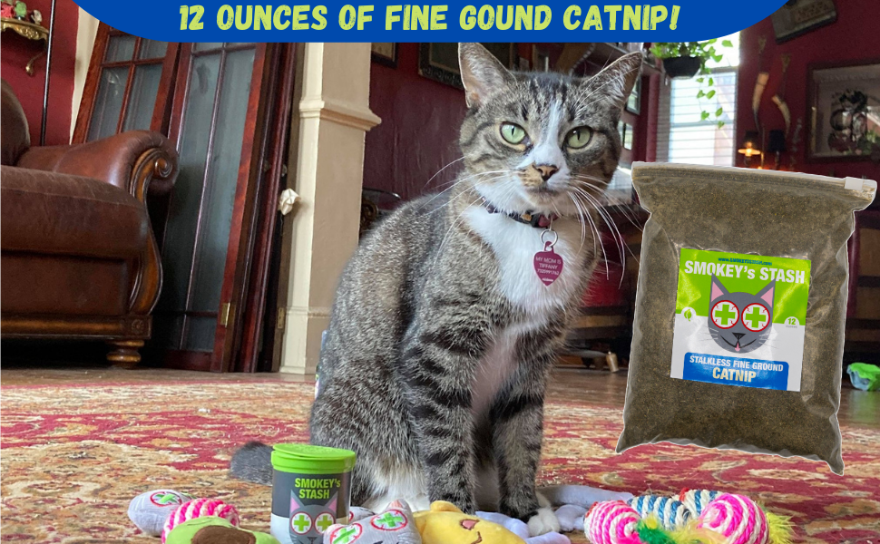 fine stalkless catnip for cats