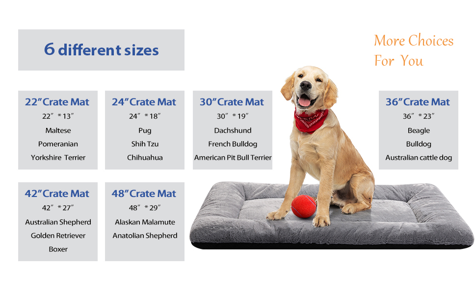 Gray Size Guide