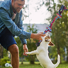 dog rope toys