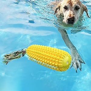 Dog Water Floating Toy