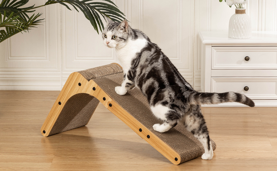Cat Scratchers for Indoor Cats
