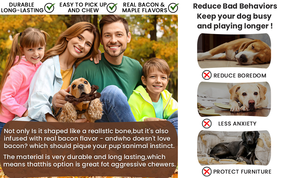 Indestructible Dog Chew Toys for Aggressive Chewers