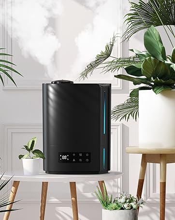 humidifier