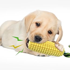Squeaky Dog Toy