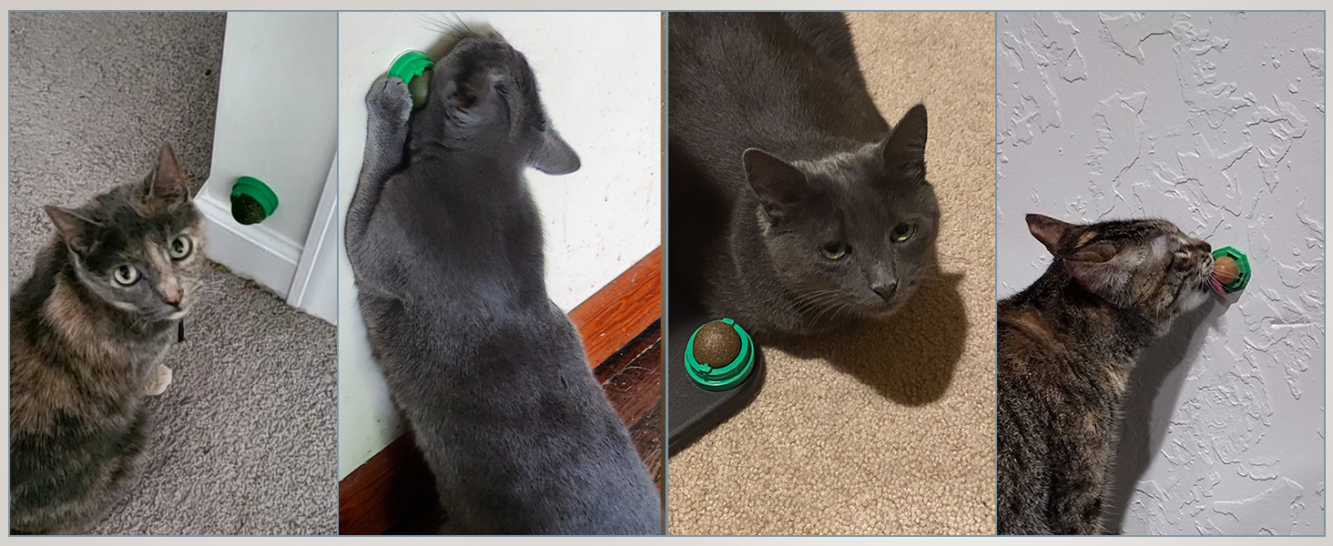 SINROBO 3pcs catnip balls