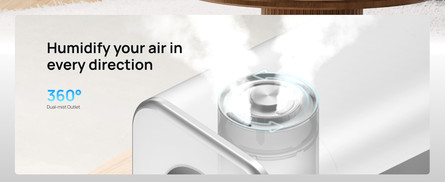 dual mist