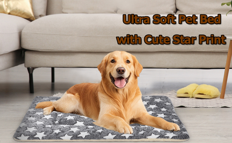 dog bed with star print 