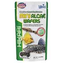 Mini Algae Wafers