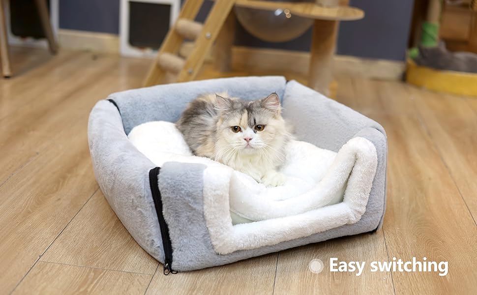 cat beds