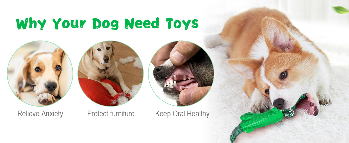 dog chew toys