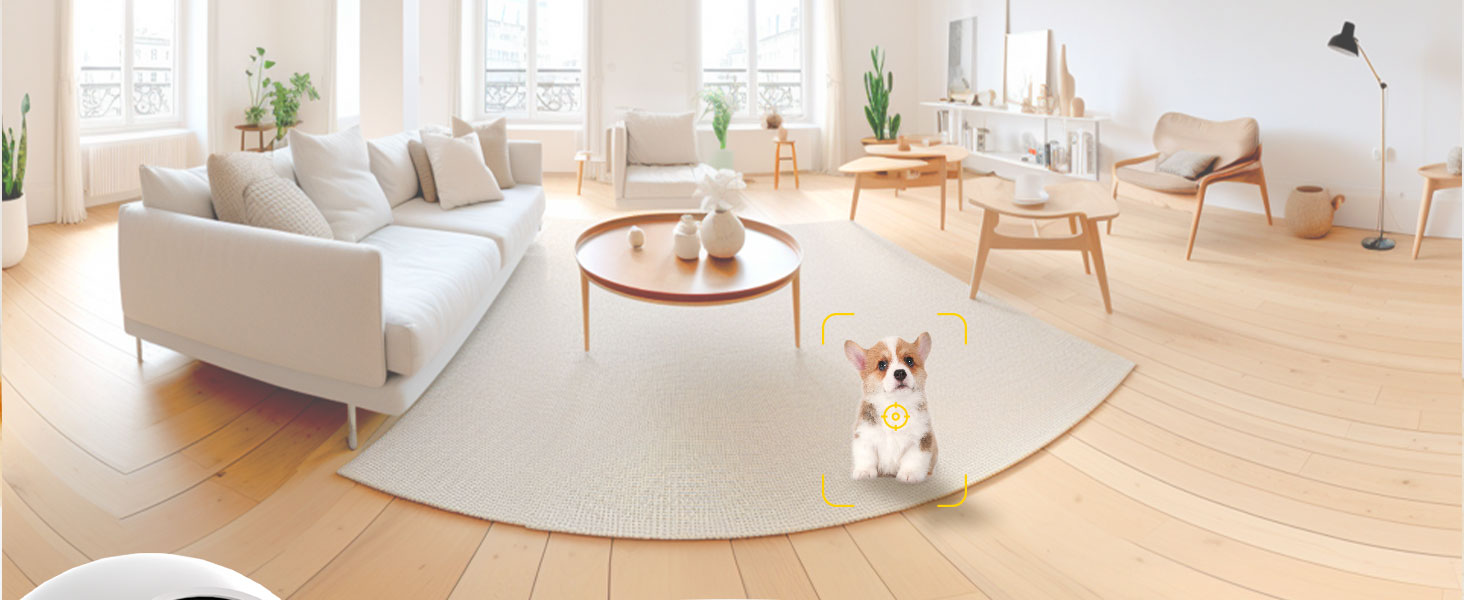 Pet camera