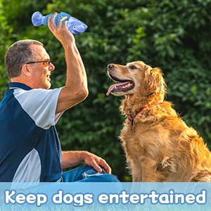 squeaky dog toys