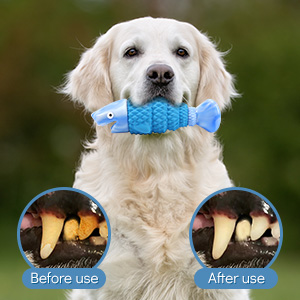 blue dog toys
