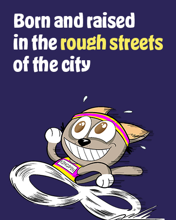 Cat Crack