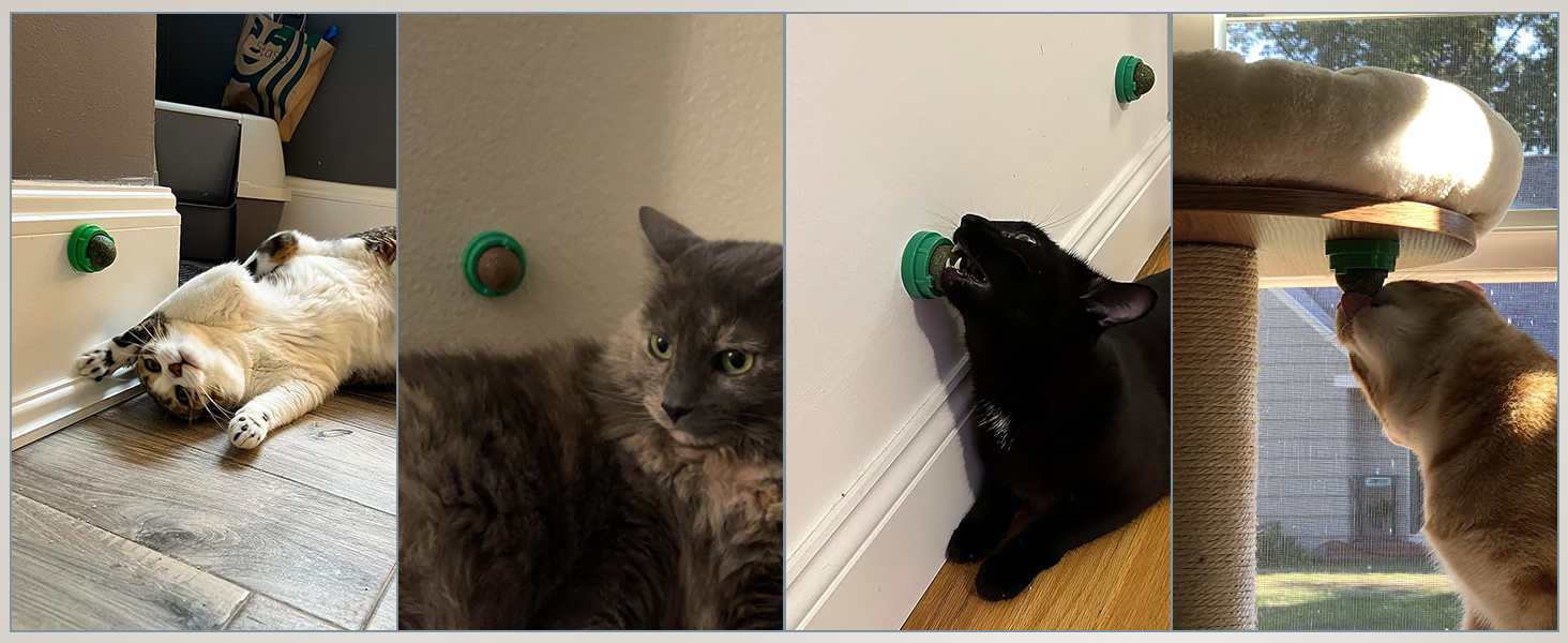 SINROBO 3pcs catnip balls