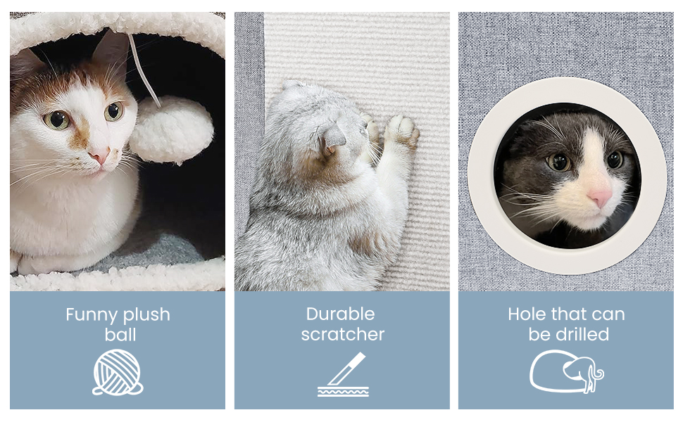 Cat House