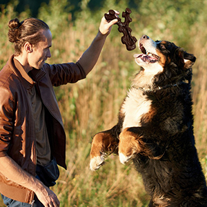 Indestructible Dog Chew Toys for Aggressive Chewers