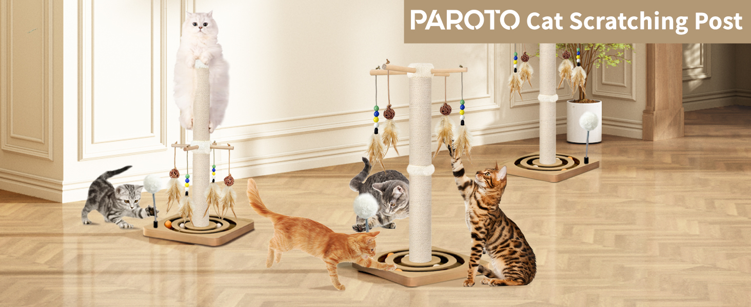 Cat Scratching Post