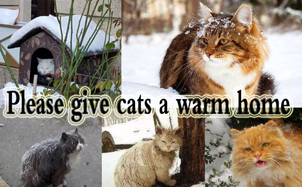 Cat Houses for Outdoor Cats