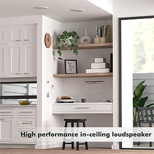 2-WAY MOUNT SPEAKER