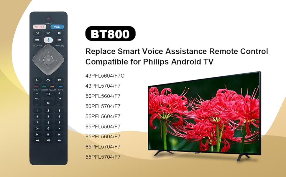 BT800 A+