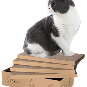 Cat Scratch Pad
