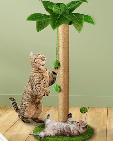 cat scratching post
