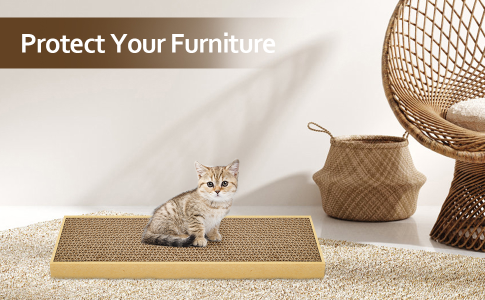 cat scratching board