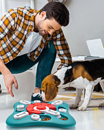 dog toys